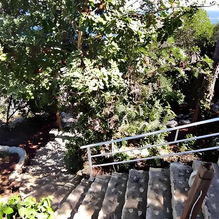 Macchia Mediterranea Villa Corsano (Apulia)