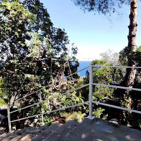 Villa Macchia Mediterranea Corsano (Apulia)