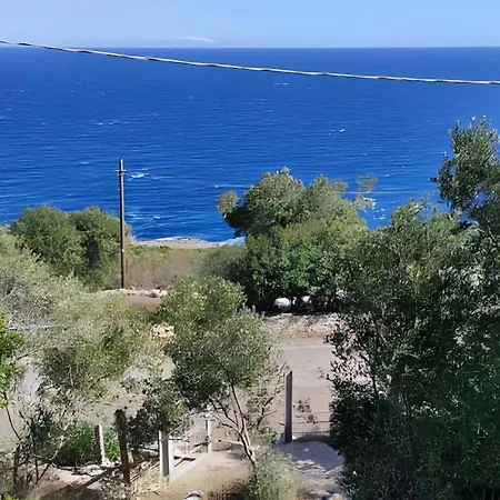 Macchia Mediterranea *